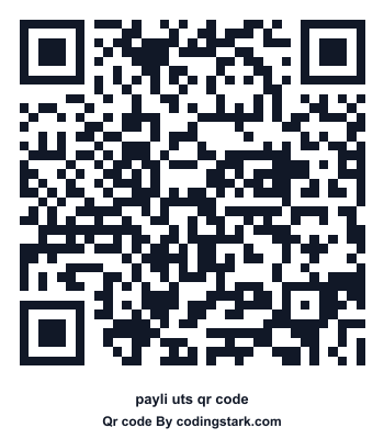 Payli UTS QR Code